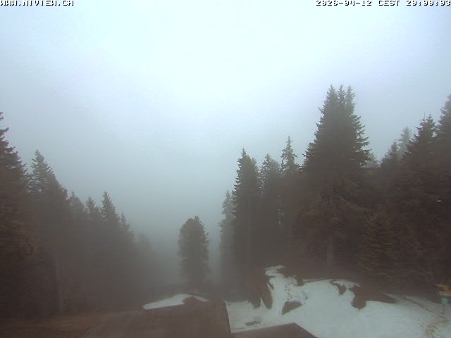 Video letzte Stunde Schwandegg