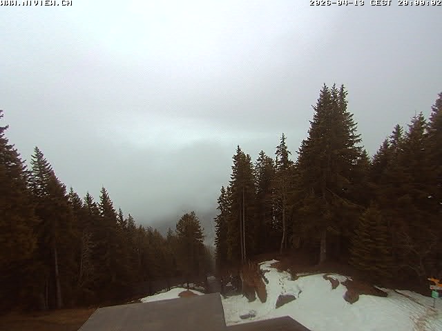 Video letzte Stunde Schwandegg