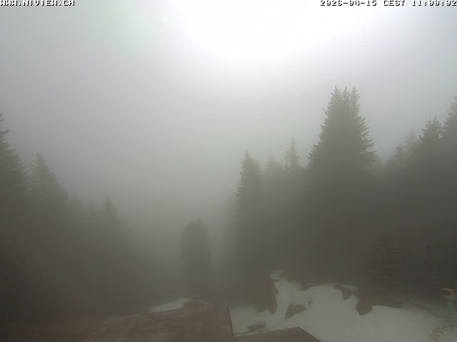 Video letzte Stunde Schwandegg