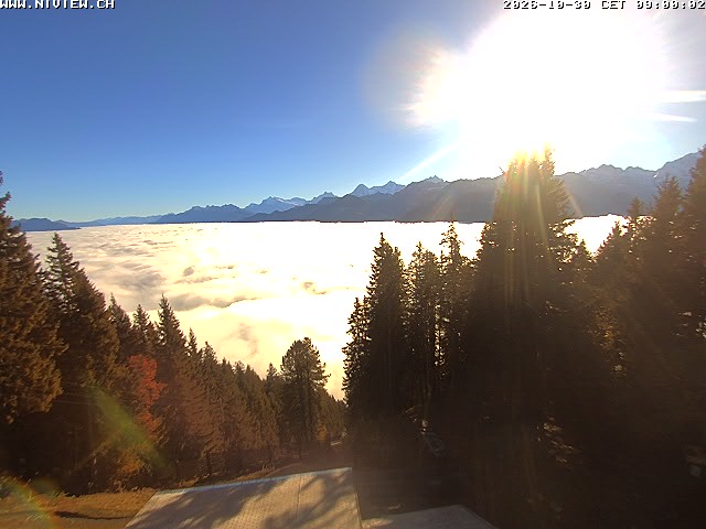 Video letzte Stunde Schwandegg