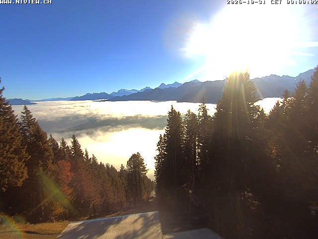 Video letzte Stunde Schwandegg